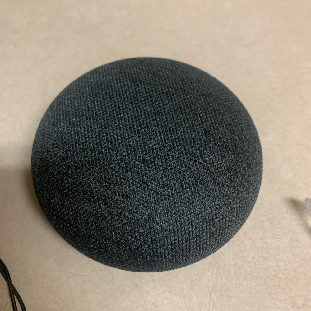 Alexa Google assistant